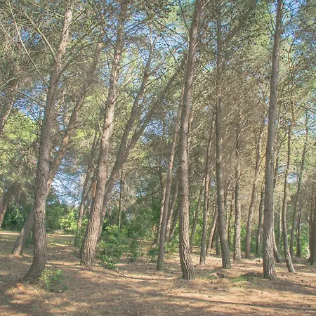 Ad Un Passo Da - Trulli Con Camino, Foresta E Bbq Cisternino